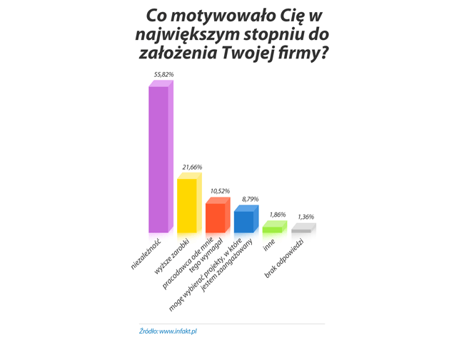 Co motywowało Cię w największym stopniu do założenia Twojej firmy?