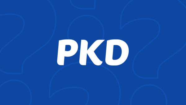 pkd zmiana dla handlu